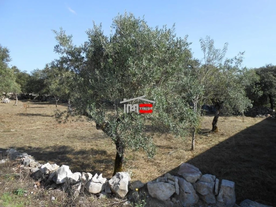 Terreno Misto para Venda em Fatima Foto 9