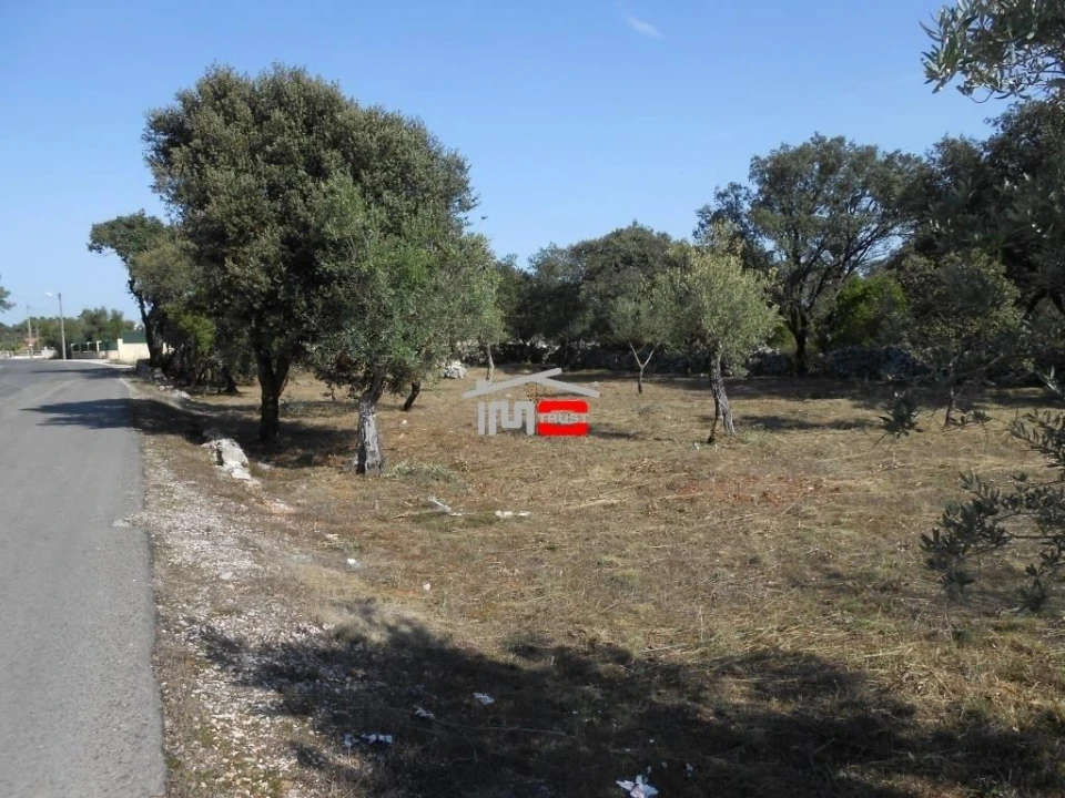 Terreno Misto para Venda em Fatima Foto 10