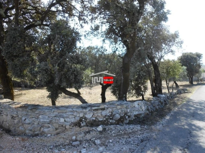 Terreno Misto para Venda em Fatima Foto 1