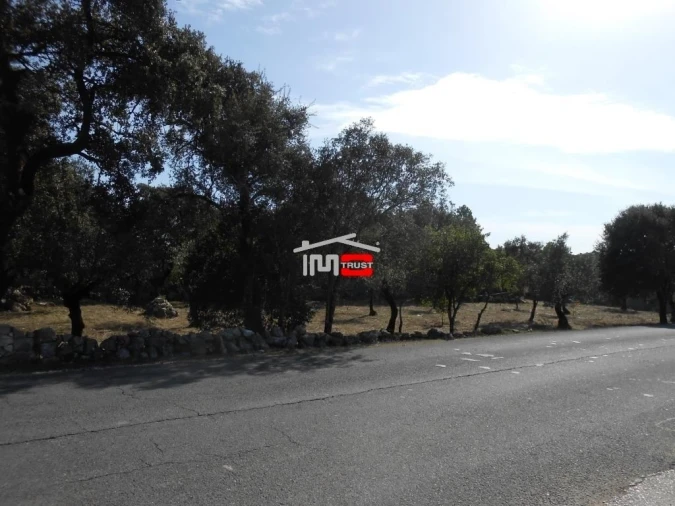 Terreno Misto para Venda em Fatima Foto 6