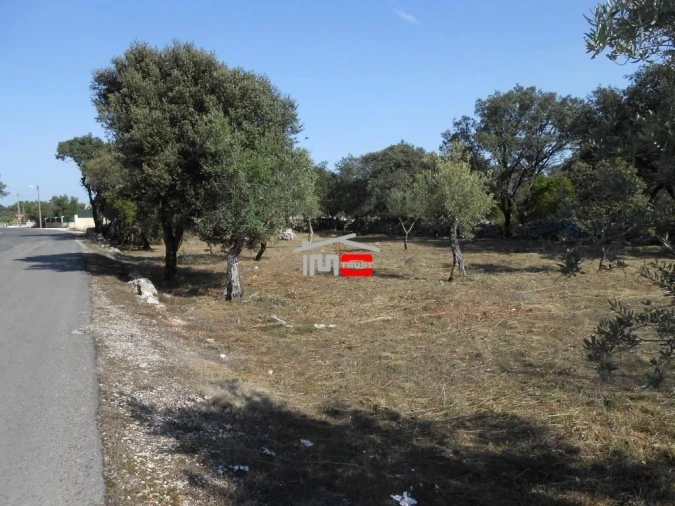 Terreno Misto para Venda em Fatima Foto 10