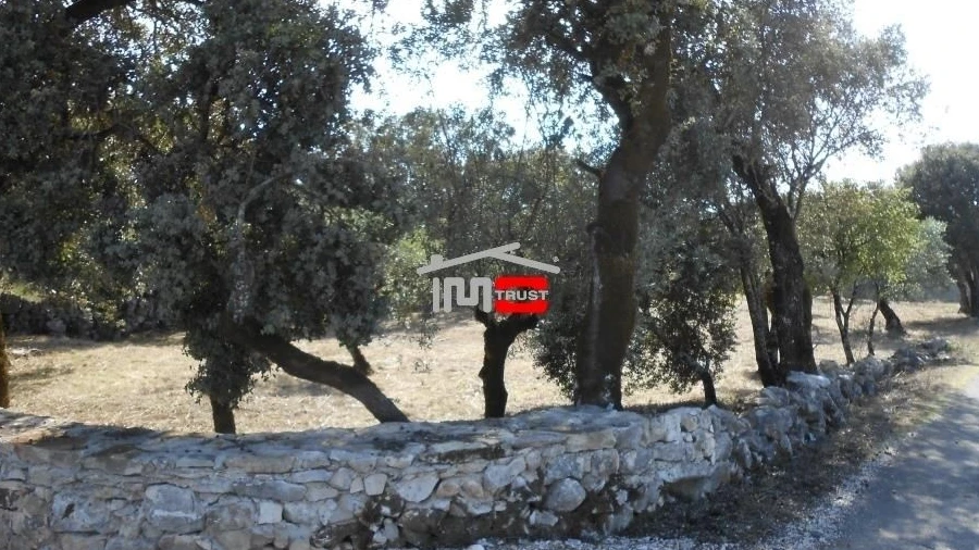 Terreno Misto para Venda em Fatima