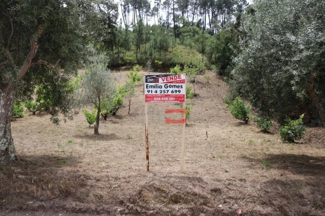 Terreno Misto para Venda em Seiça Foto 3