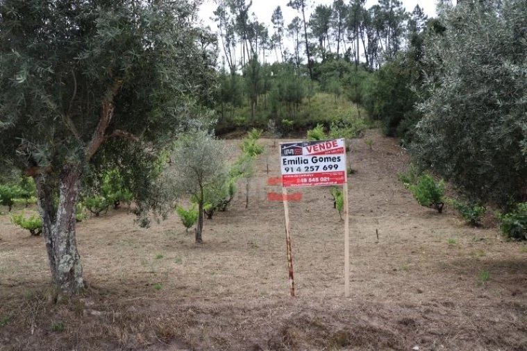 Terreno Misto para Venda em Seiça Foto 1