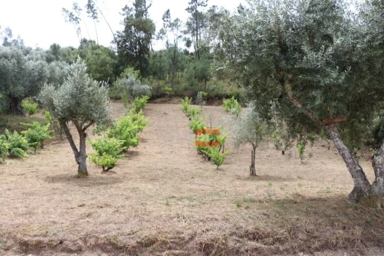 Terreno Misto para Venda em Seiça Foto 6