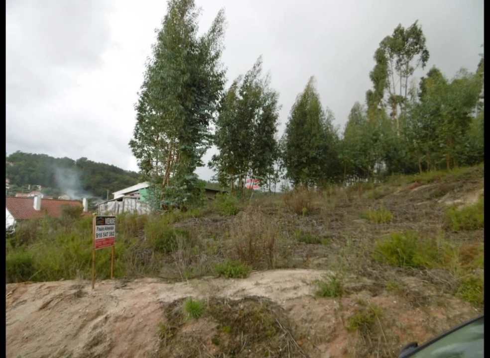 Terreno Misto para Venda em Nossa Senhora da Piedade Foto 2