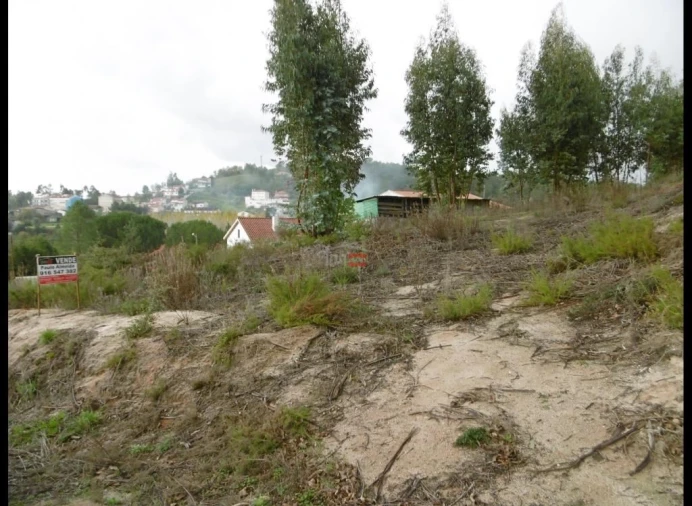 Terreno Misto para Venda em Nossa Senhora da Piedade Foto 5