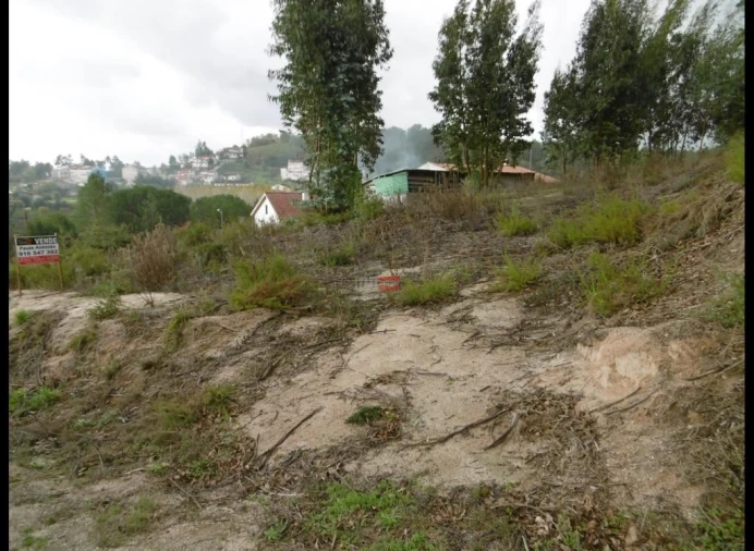 Terreno Misto para Venda em Nossa Senhora da Piedade Foto 7