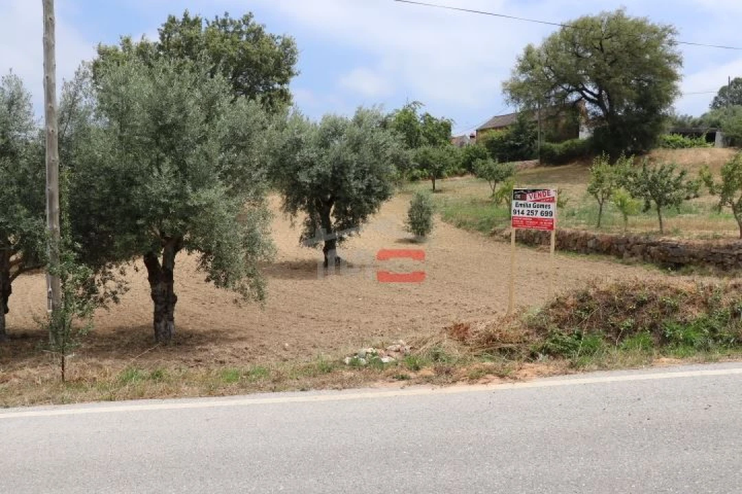 Terreno Misto para Venda em Seiça Foto 2