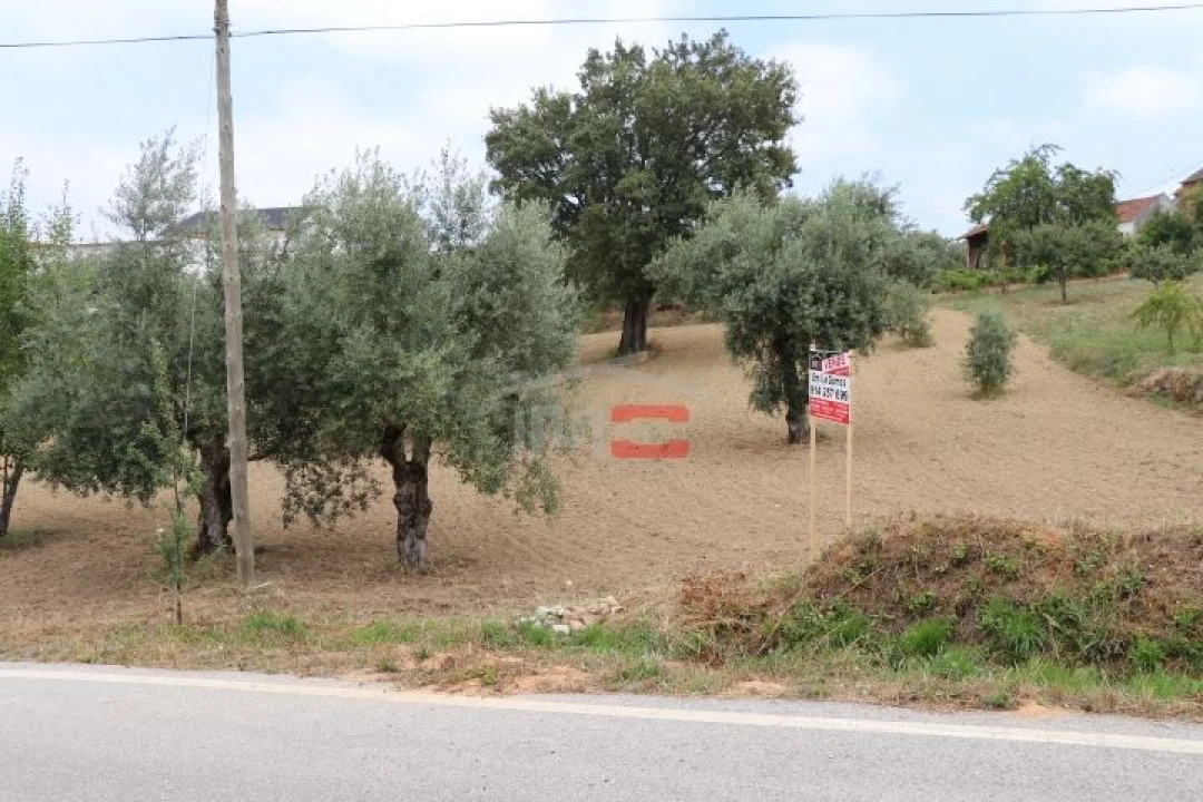 Terreno Misto para Venda em Seiça Foto 8