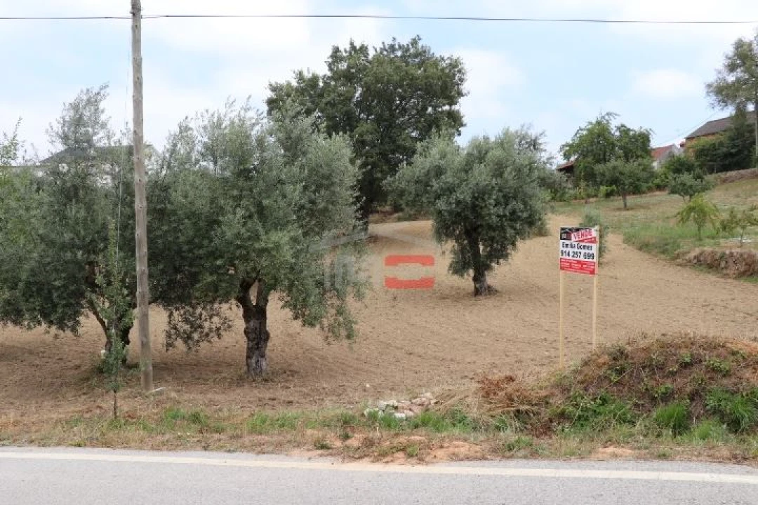 Terreno Misto para Venda em Seiça Foto 10