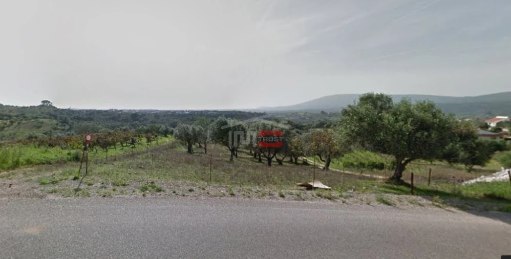 Terreno Misto para Venda em Torres Novas (Santa Maria, Salvador e Santiago) Foto 1