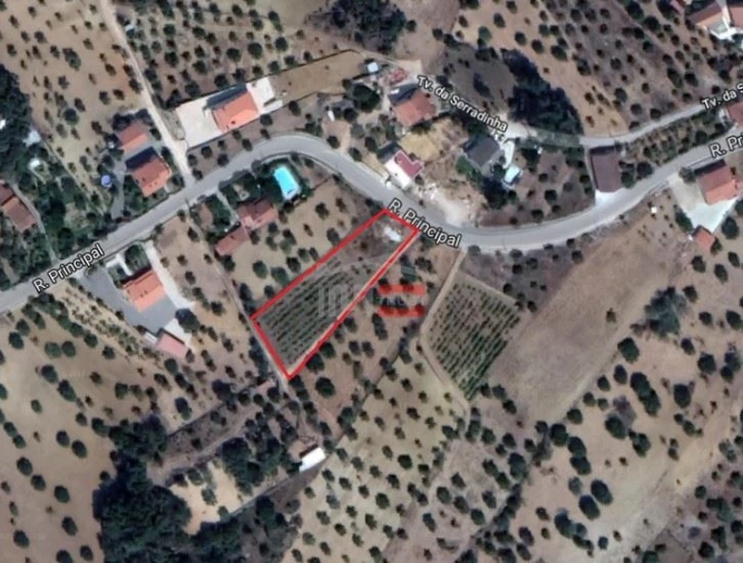 Terreno Misto para Venda em Torres Novas (Santa Maria, Salvador e Santiago) Foto 2