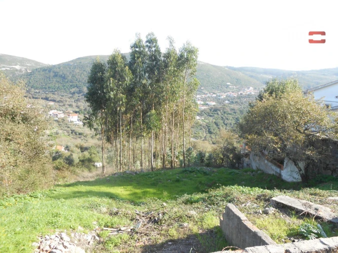 Terreno para Venda em Alqueidão da Serra Foto 4