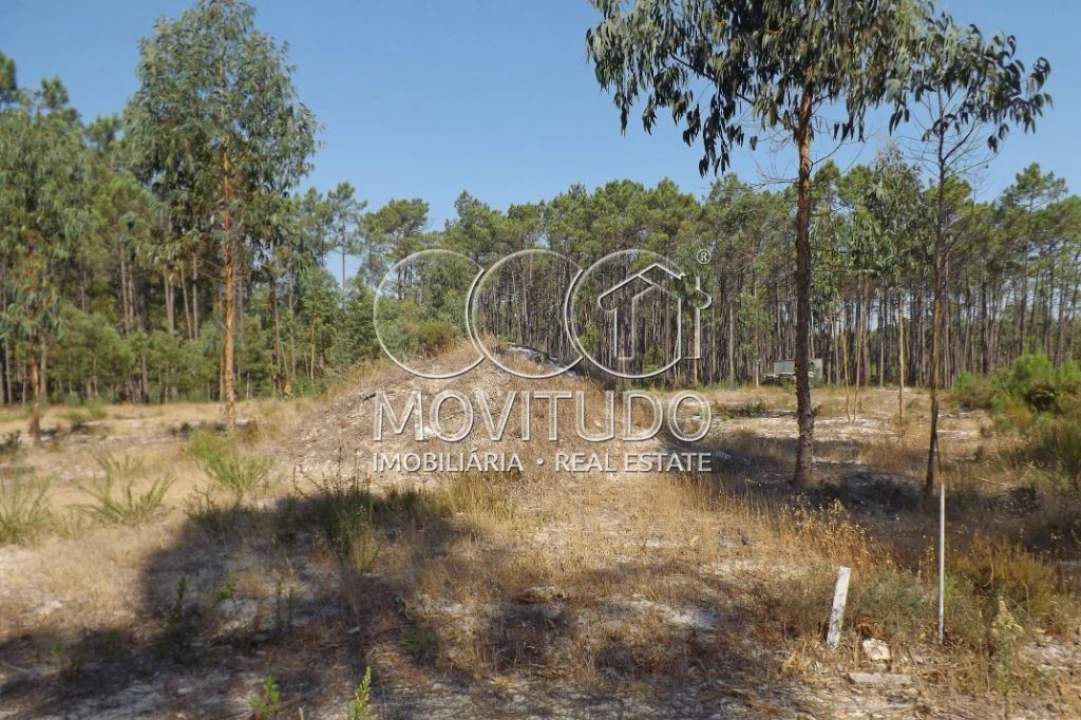 Terreno Misto para Venda em Monte Real e Carvide Foto 11