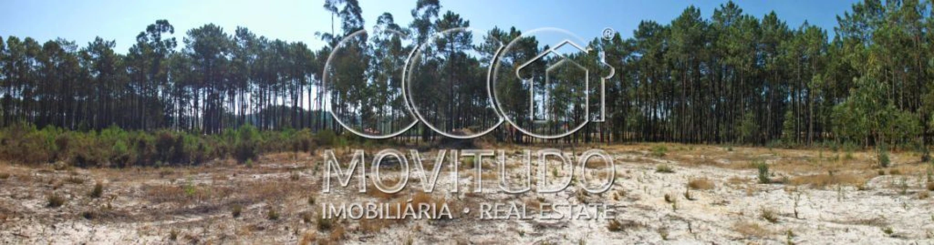 Terreno Misto para Venda em Monte Real e Carvide Foto 12