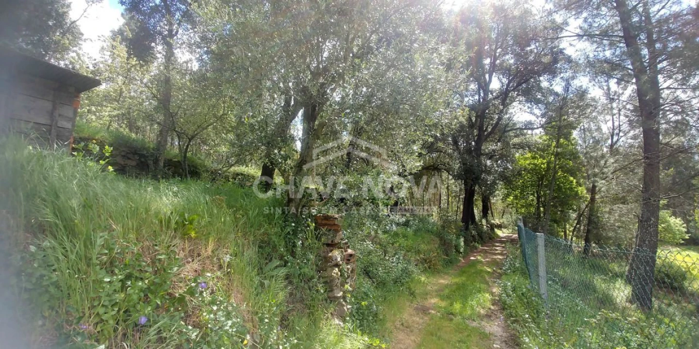 Terreno Agricola ou Rústico para Venda em Mansores Foto 7