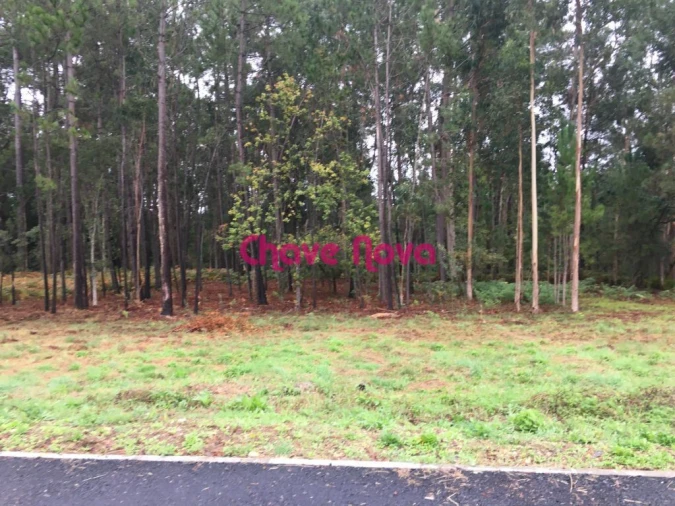 Terreno para Venda em Santa Maria da Feira, Travanca, Sanfins e Espargo Foto 2