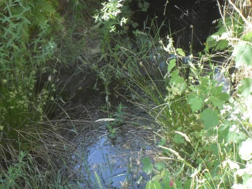Quinta para Venda em Santa Maria de Marvão Foto 19