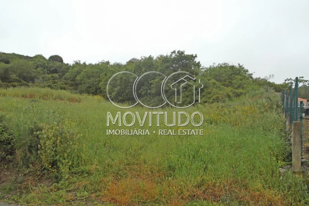 Terreno Agricola ou Rústico para Venda em Santiago dos Velhos Foto 6