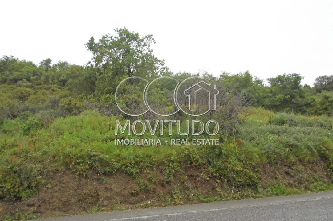 Terreno Agricola ou Rústico para Venda em Santiago dos Velhos Foto 9