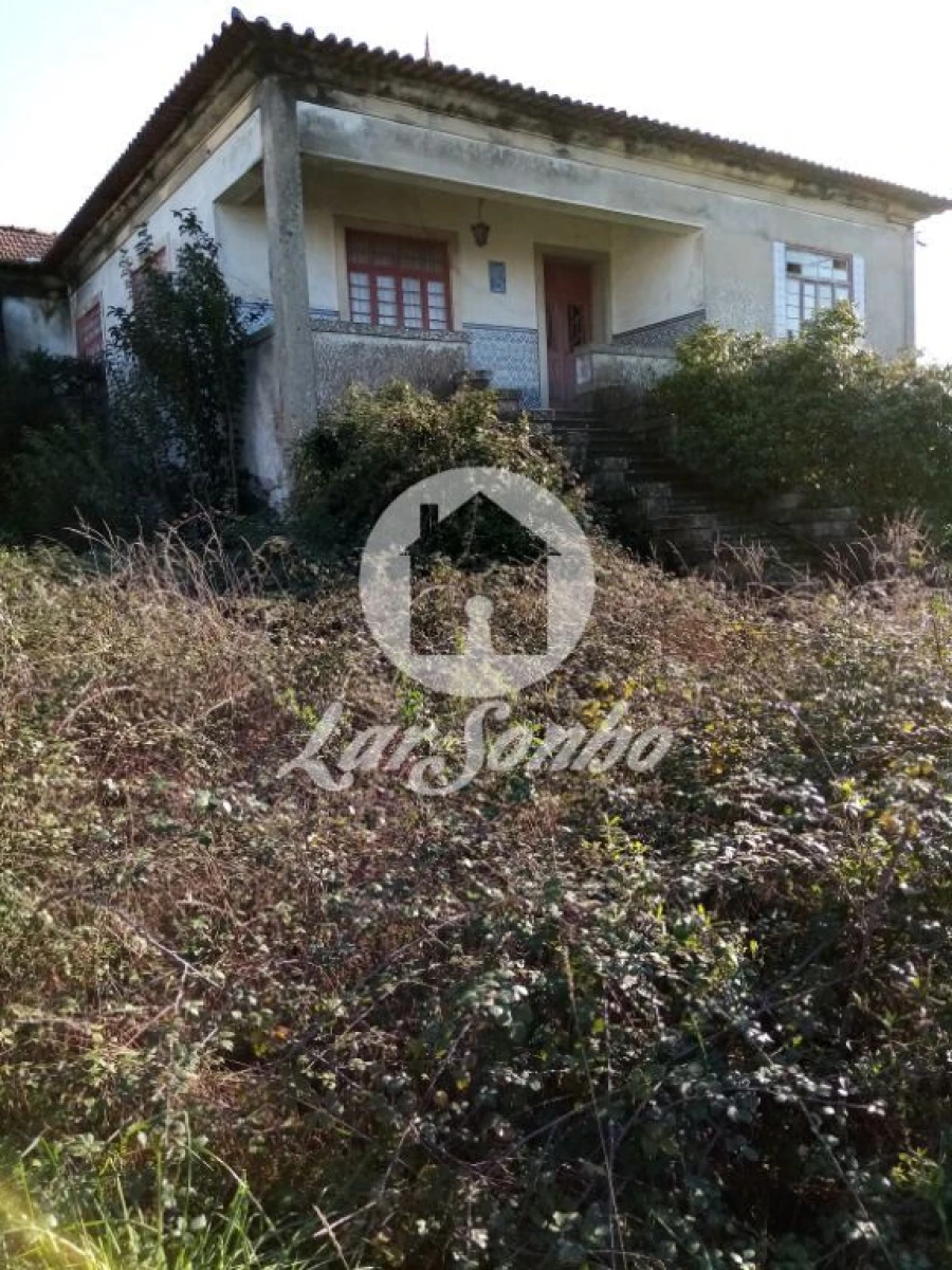 Terreno Misto para Venda em Vila Nova do Campo Foto 1