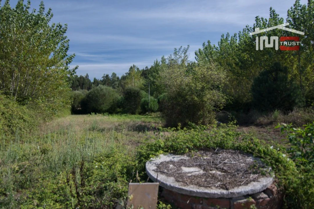 Terreno Agricola ou Rústico para Venda em Abiul Foto 2