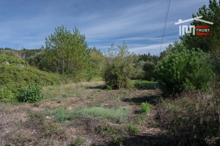 Terreno Agricola ou Rústico para Venda em Abiul