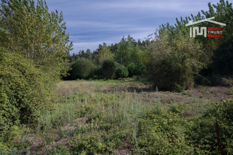 Terreno Agricola ou Rústico para Venda em Abiul Foto 3