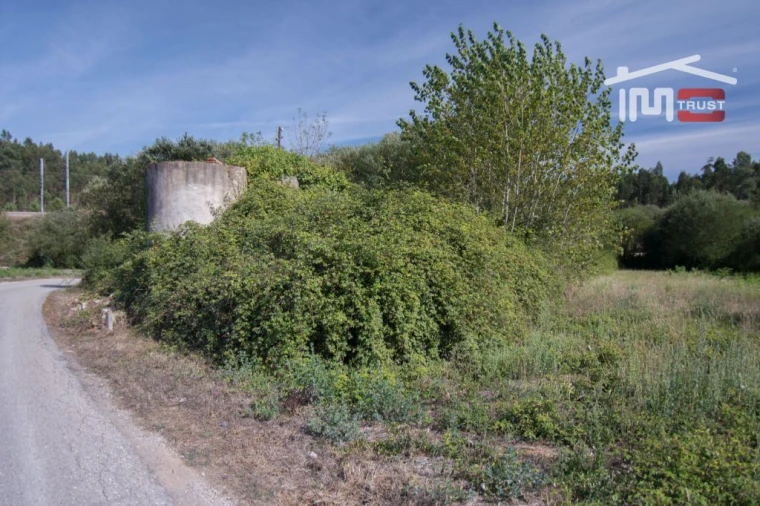 Terreno Agricola ou Rústico para Venda em Abiul Foto 4