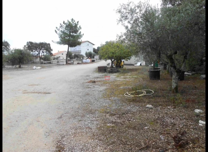 Terreno Misto para Venda em Fatima Foto 11