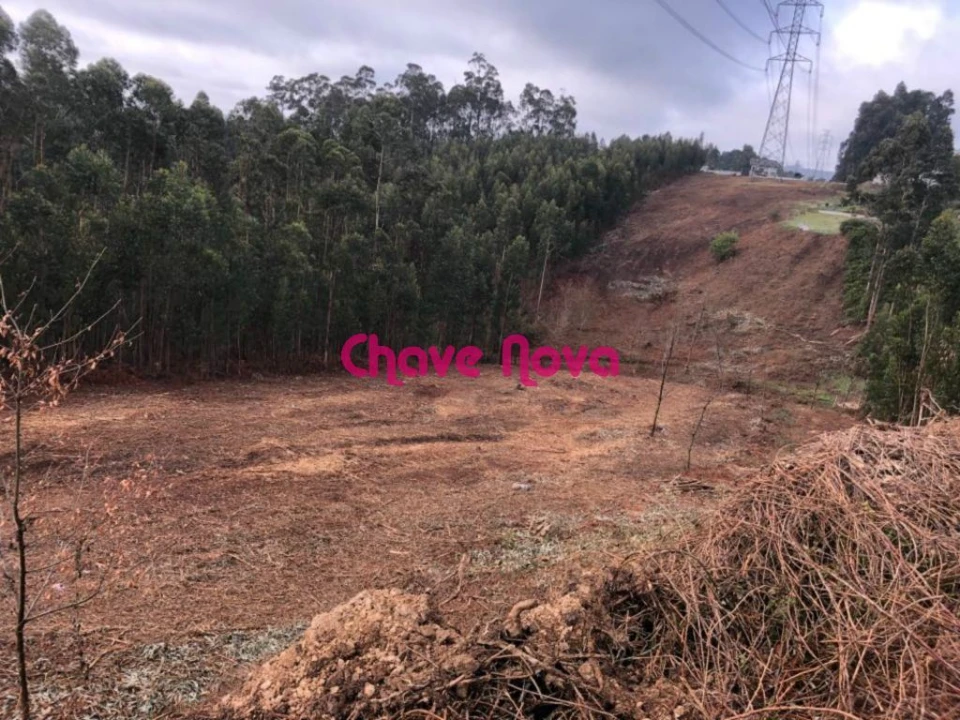 Terreno para Venda em Arcozelo Foto 1