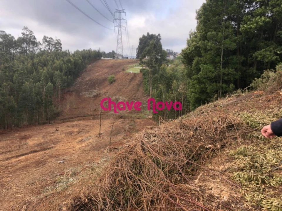 Terreno para Venda em Arcozelo Foto 5