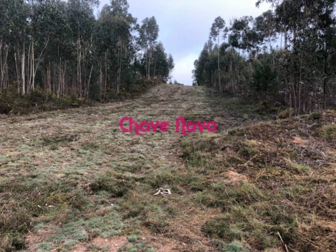 Terreno para Venda em Arcozelo Foto 2