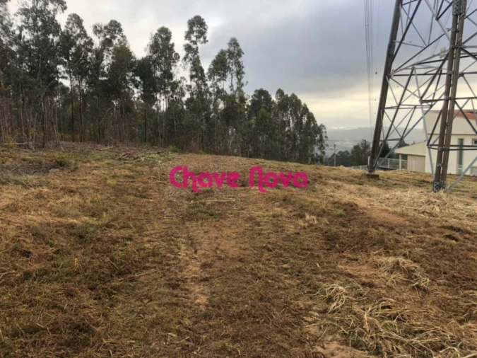 Terreno para Venda em Arcozelo Foto 4