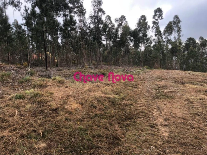 Terreno para Venda em Arcozelo Foto 7