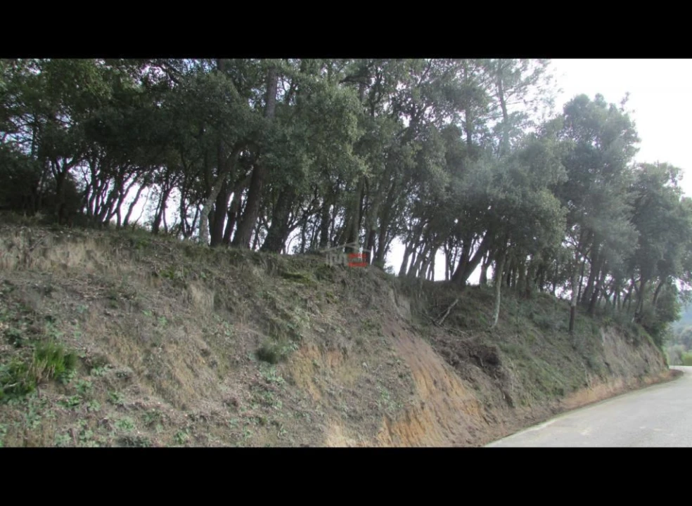Terreno Misto para Venda em Nossa Senhora da Piedade Foto 3