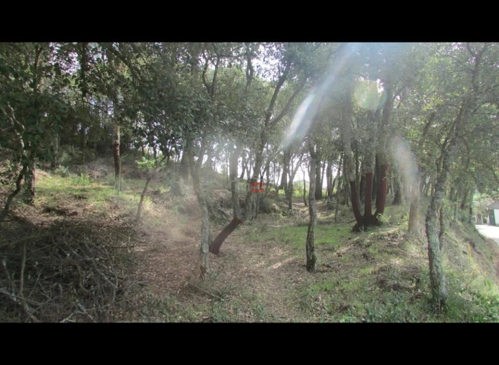 Terreno Misto para Venda em Nossa Senhora da Piedade Foto 2