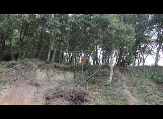 Terreno Misto para Venda em Nossa Senhora da Piedade Foto 1