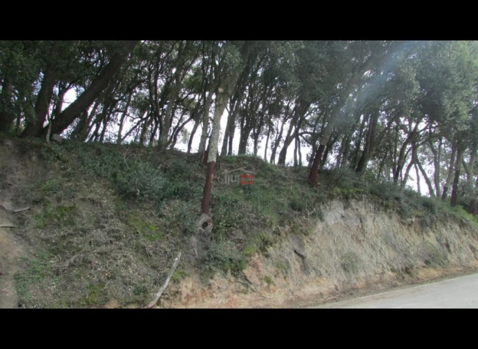 Terreno Misto para Venda em Nossa Senhora da Piedade Foto 9