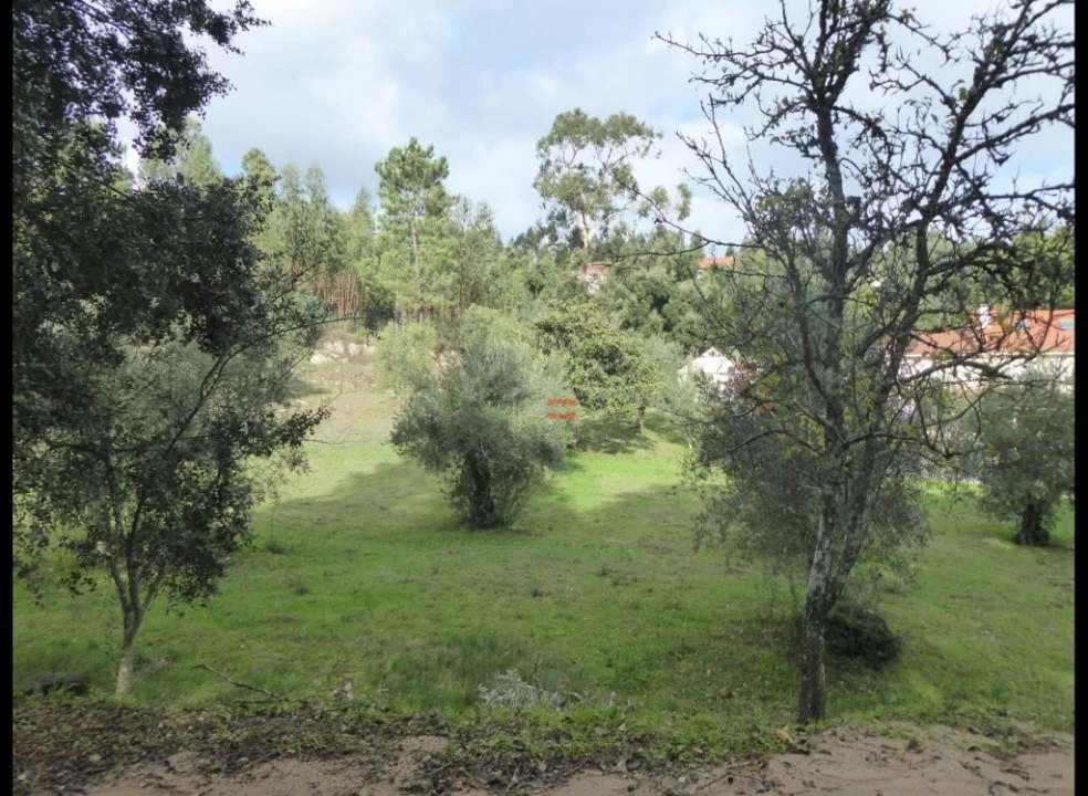 Terreno Misto para Venda em Atouguia Foto 9