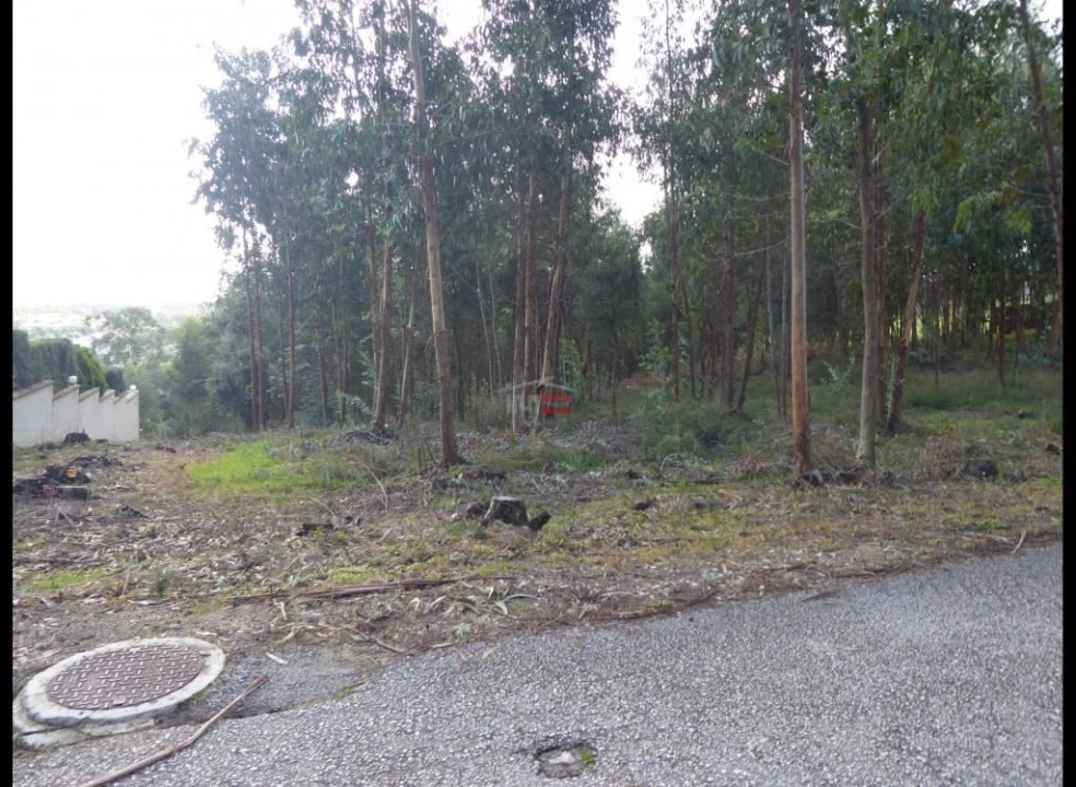 Terreno Misto para Venda em Atouguia Foto 11