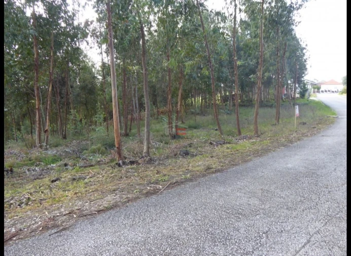 Terreno Misto para Venda em Atouguia Foto 2