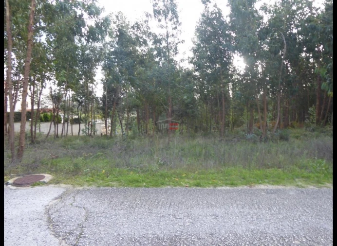 Terreno Misto para Venda em Atouguia Foto 3