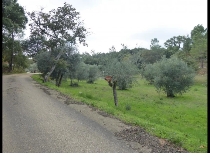 Terreno Misto para Venda em Atouguia Foto 6