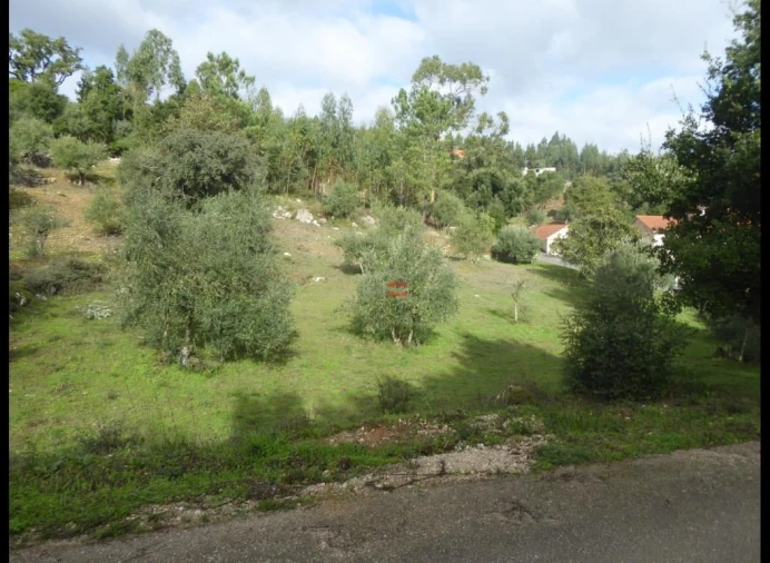 Terreno Misto para Venda em Atouguia Foto 10