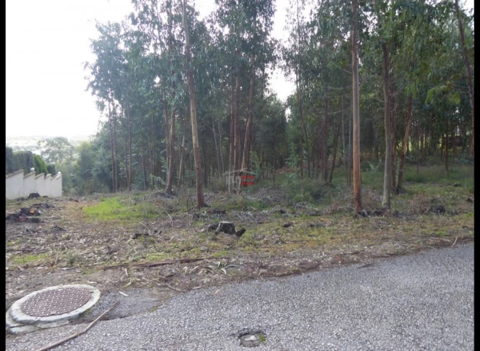 Terreno Misto para Venda em Atouguia Foto 11