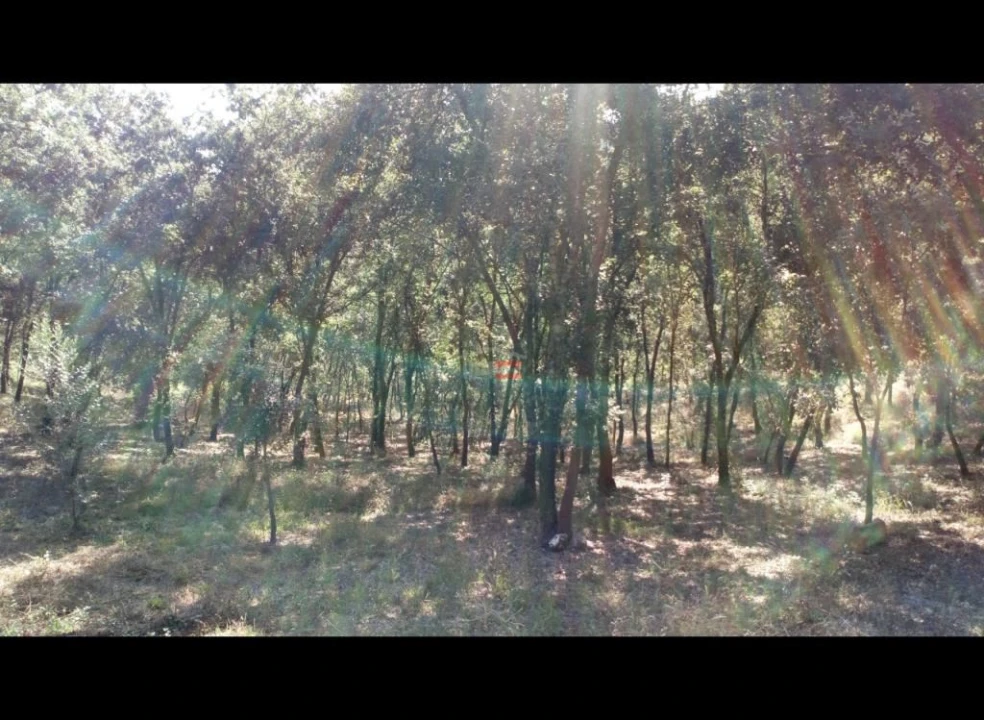 Terreno Misto para Venda em Alburitel Foto 1