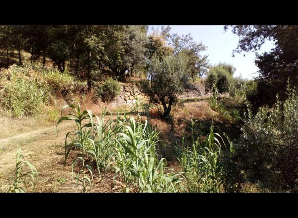 Terreno Misto para Venda em Alburitel Foto 2