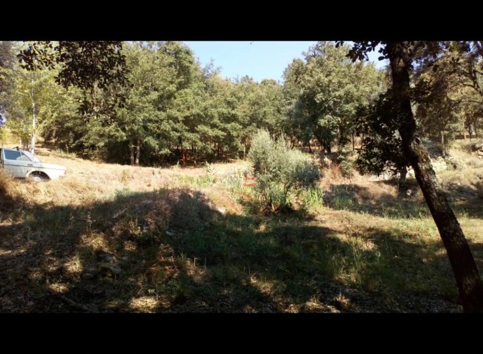 Terreno Misto para Venda em Alburitel Foto 3